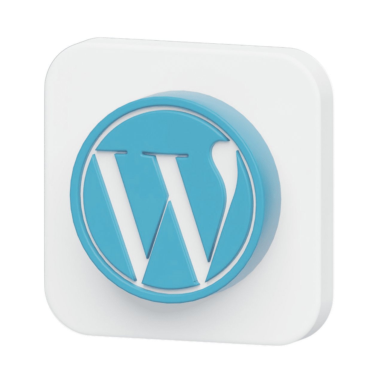 Perth’s #1 WordPress Web Design Perth - Award Winning Agency